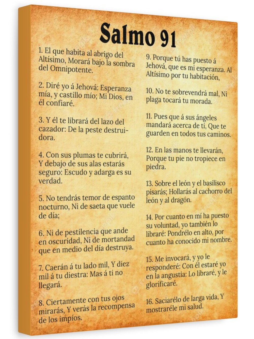 Scripture Sign Salmo 91 Chapter Gold Christian Wall Art Print Ready to Hang Unf